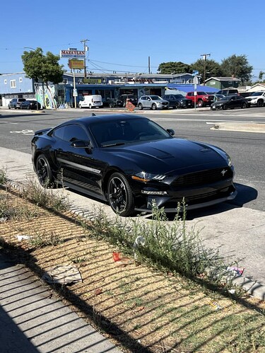 An image of a Mustang Parked beside the road