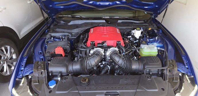 An image of a Mustang engine